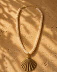 Collier Coquillage beige - Ambre